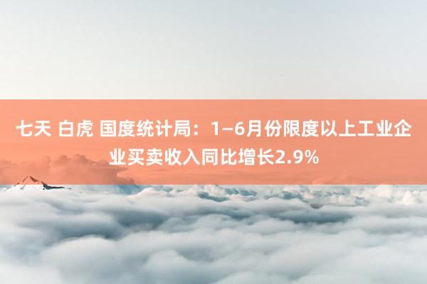 七天 白虎 国度统计局：1—6月份限度以上工业企业买卖收入同比增长2.9%