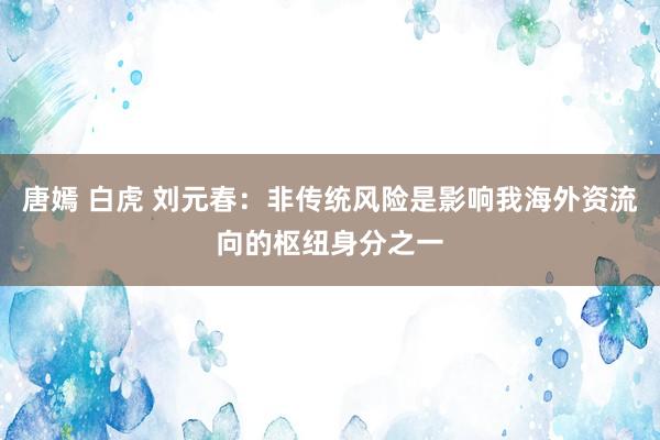 唐嫣 白虎 刘元春：非传统风险是影响我海外资流向的枢纽身分之一