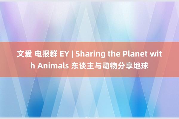 文爱 电报群 EY | Sharing the Planet with Animals 东谈主与动物分享地球