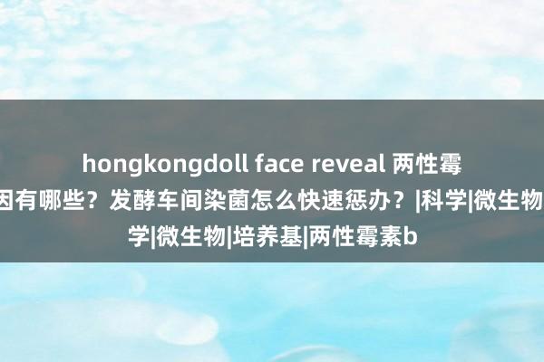 hongkongdoll face reveal 两性霉素B发酵染菌的原因有哪些？发酵车间染菌怎么快速惩办？|科学|微生物|培养基|两性霉素b